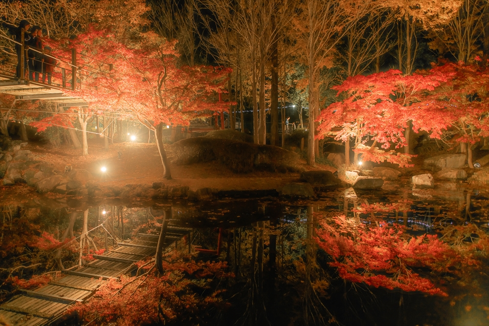 余暇村公園の昼と夜、紅葉ライトアップ ～兵庫県多可町、秋の景色02